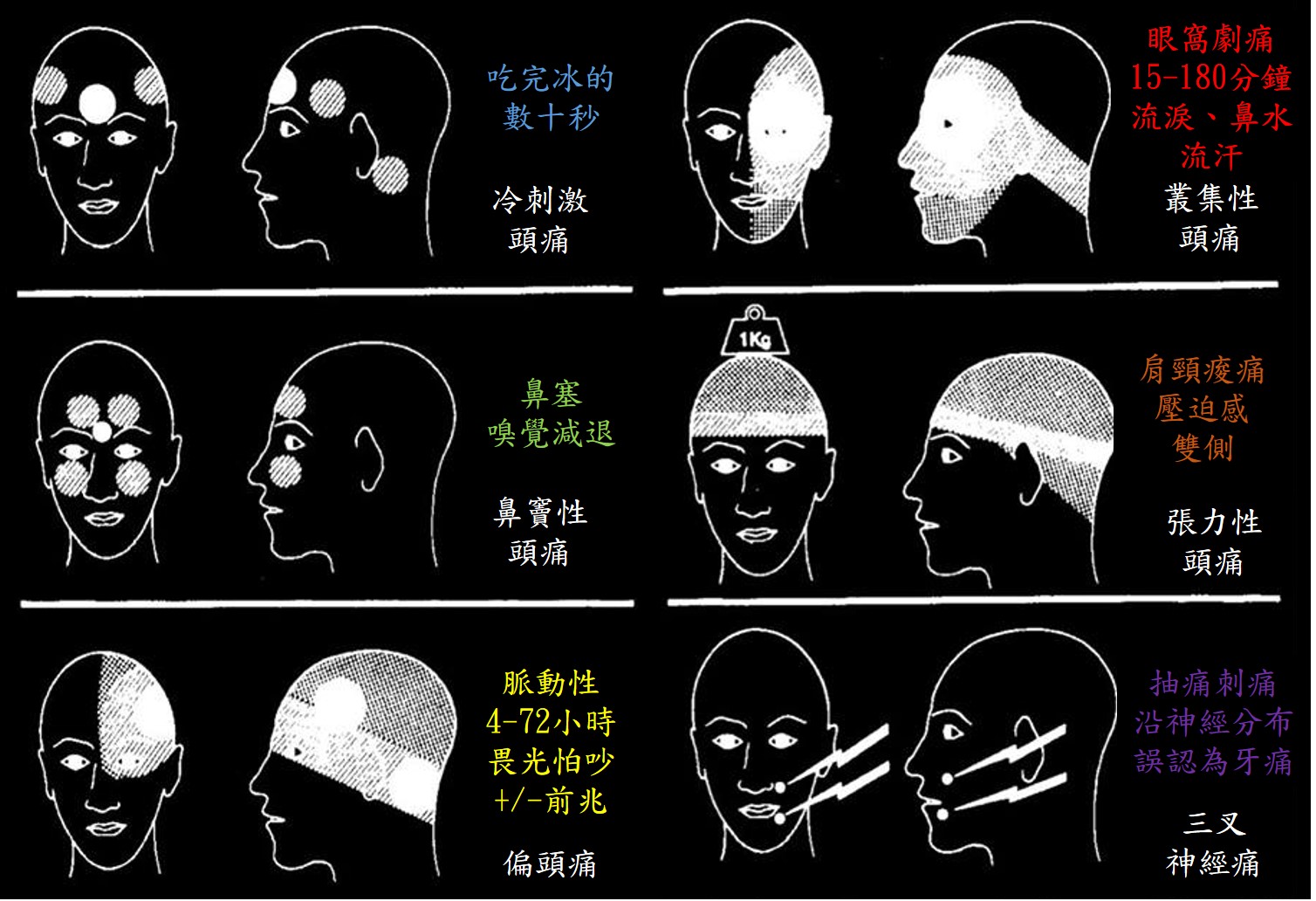 泰安親親家庭診所 前陳泰安耳鼻喉科診所 泰安親親家庭診所 前陳泰安耳鼻喉科診所